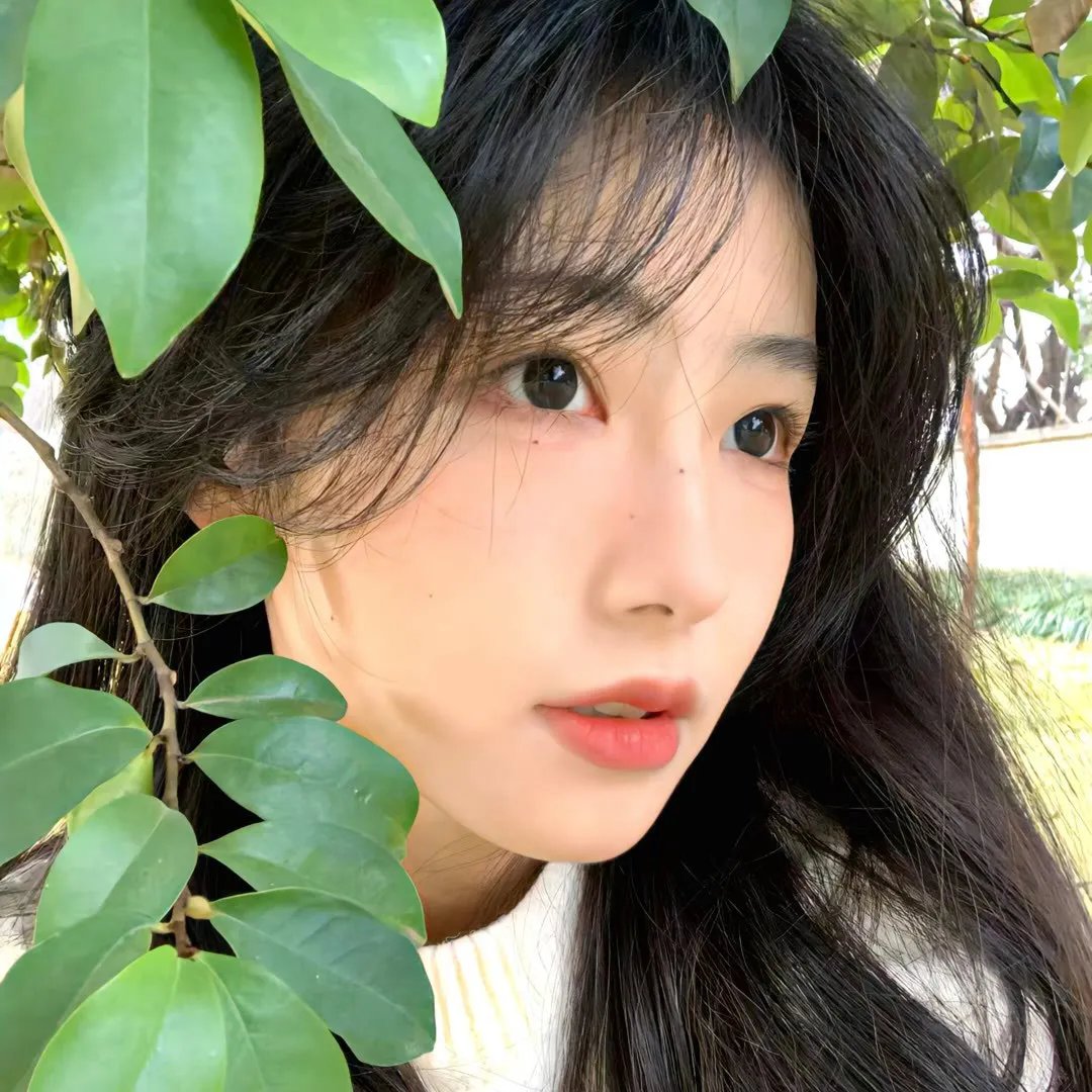 黑蝶漫舞